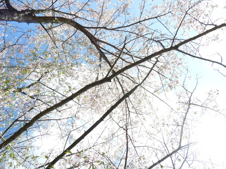 DSCN0850