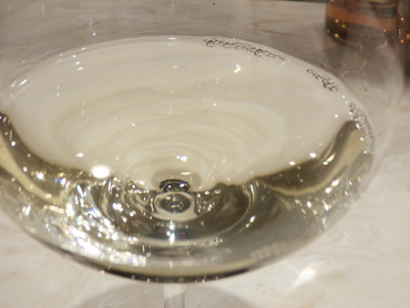 DSCN8358