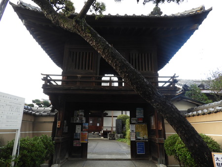 DSCN6980