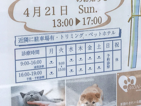 20190501_075345456_iOS