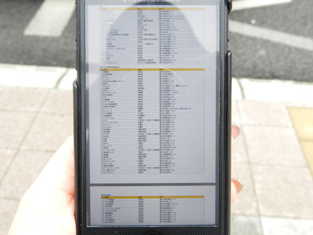 DSCN8700