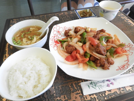 DSCN4184