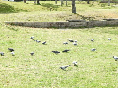DSCN0844
