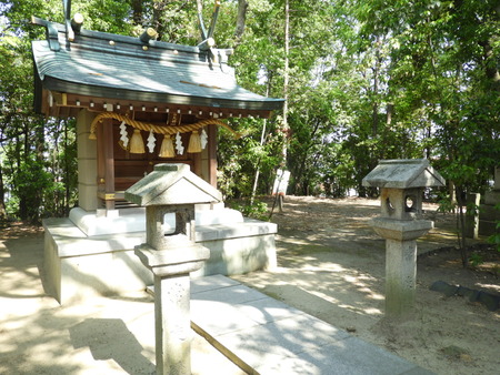 DSCN0881