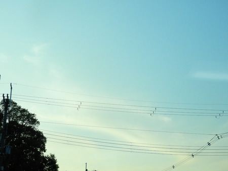 DSCN1641