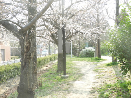 DSCN9970