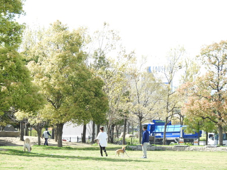 DSCN0866