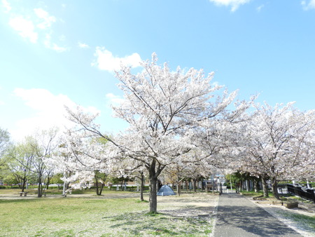 DSCN0897