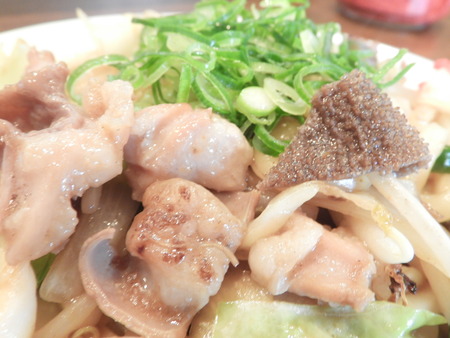 DSCN0125