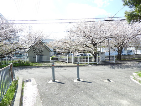 DSCN0825