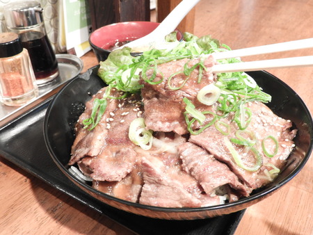 DSCN0412