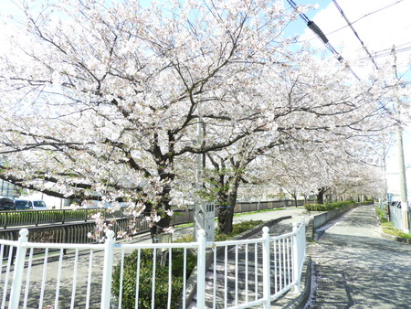 DSCN0826