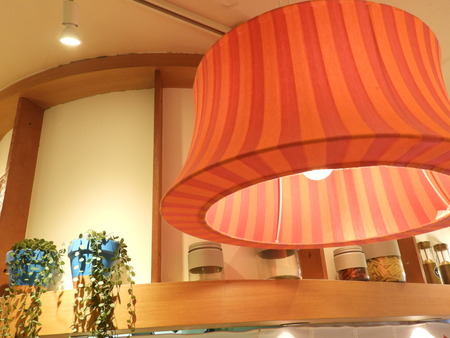 DSCN3060
