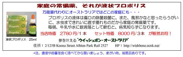 広告プロポリス液状30%縮小
