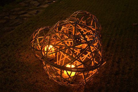 D5E_3868