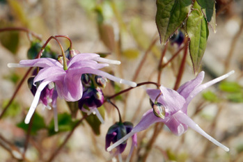 P1010441-2