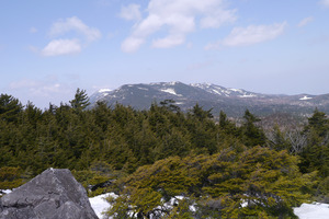 P1010376