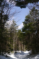 P1010374