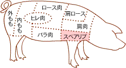 buispareribs