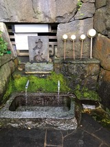 IMG_3048