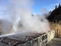 IMG_4387