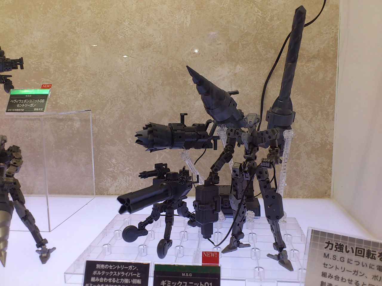 2015wfw_019