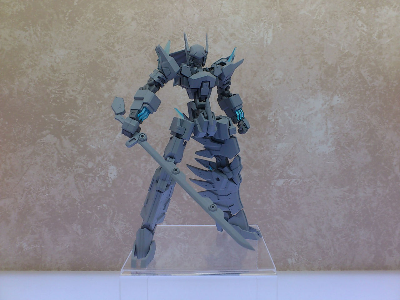 2015wfw_021