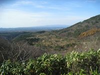 aomori19