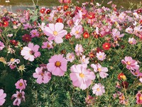 1BD9C495-584D-4534-9821-A5E75361F3CD