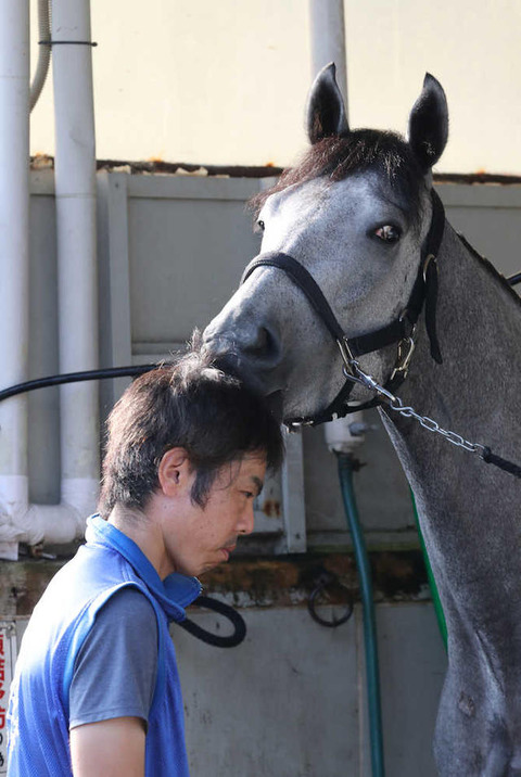 朗報 ポポカテペトル弟のボスジラ かわいい ターフ速報 競馬まとめ