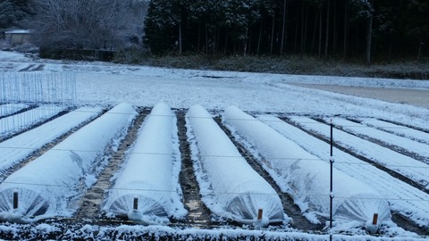 20171227_075820