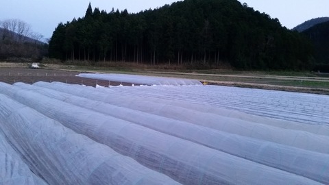 20180330_182625