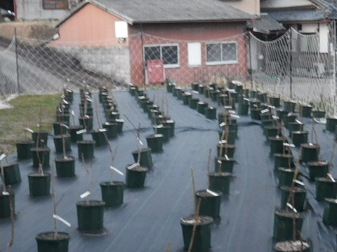 RIMG0207