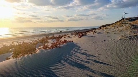 IMG_20190113_165418_406
