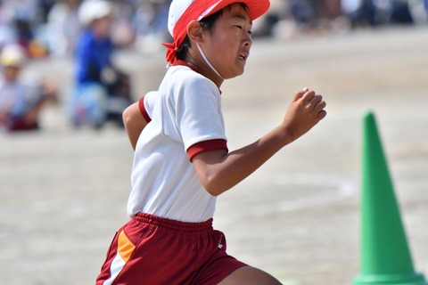 tk (3)