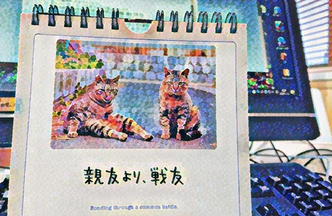 IMG-PHOTO-ART-114493116