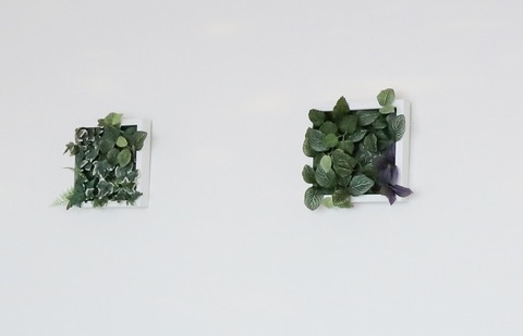 1P5A1114