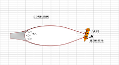 たつき漁