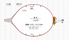 たたき漁