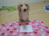 Charlize's 9th birthday!