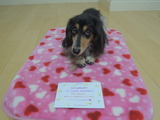 Sophie's 10th birthday!