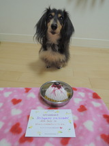 Sophie's 11th birthday!