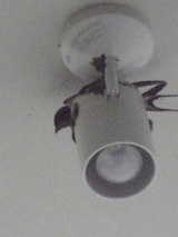 4547469a.jpg