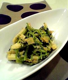 0207wasabi