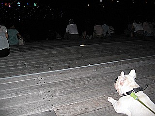 0803panna2