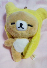 kuma2