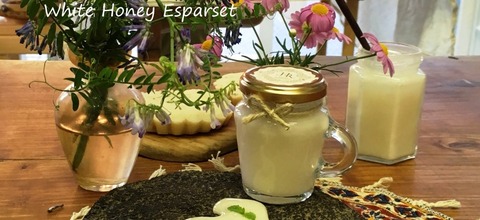esparset2016top