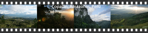 photoframe-copallin