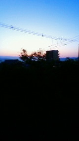 29c87299.jpg