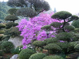 DSCF0168